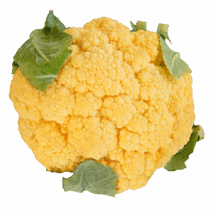COLIFLOR AMARILLA