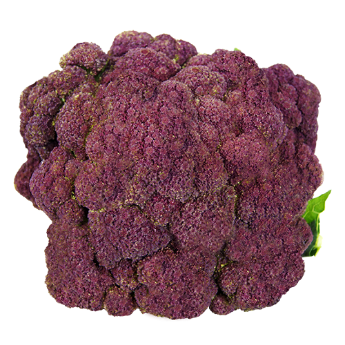 COLIFLOR MORADA