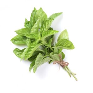 ALBAHACA LOCAL