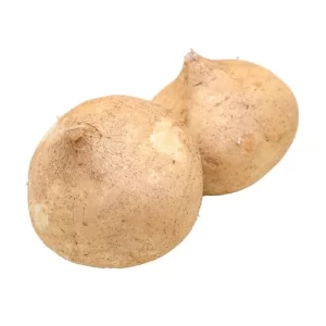 JICAMA