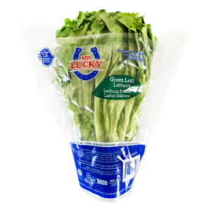 LECHUGA ITALIANA