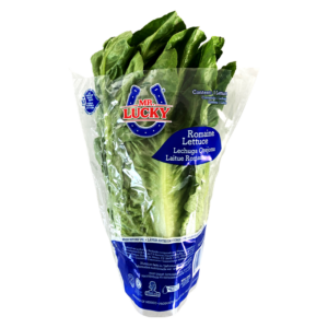 LECHUGA OREJONA