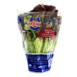 LECHUGA SANGRIA