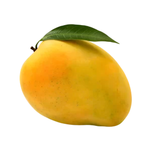 MANGO DE TEMPORADA