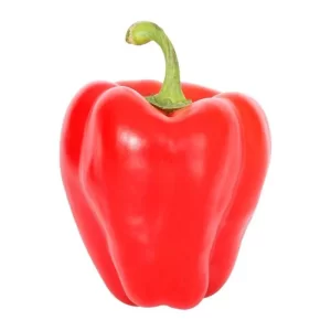 MORRON ROJO