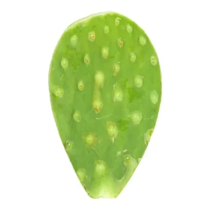 NOPAL