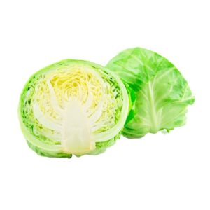 REPOLLO