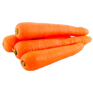ZANAHORIA